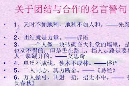 群体团结的基础是什么