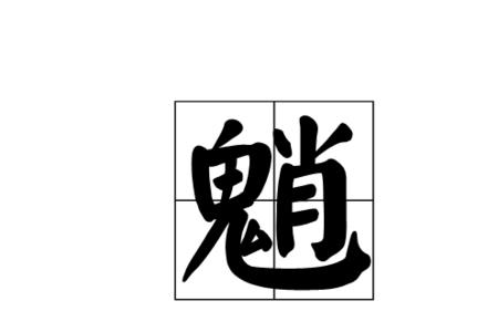 一个户一个肖念什么