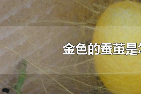 蚕茧只有白色的这种说法是
