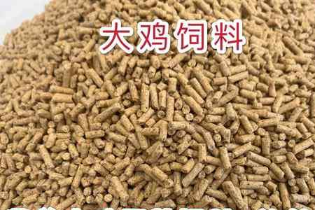 华港鸭饲料好不好