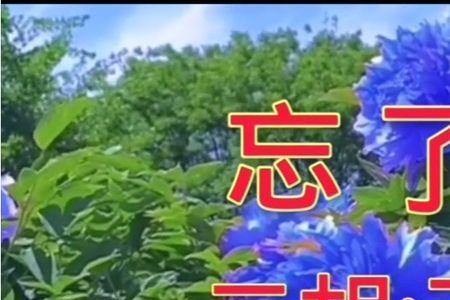 忘了吧我最爱的你原唱