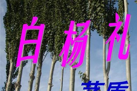 白杨礼赞对第三段的理解