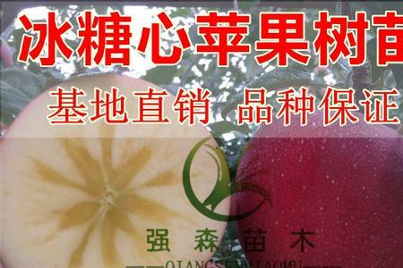 米心苹果产地