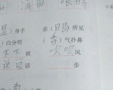 什么词语是抓紧时间不拖拉