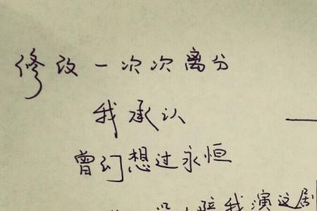 年轮歌词表达的情感