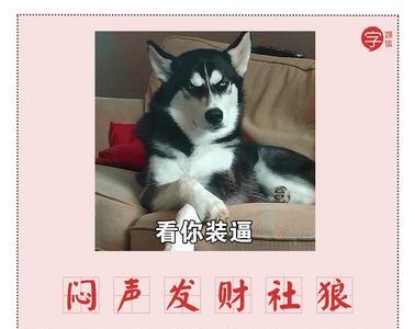 同事冒犯了你是忍还是不忍