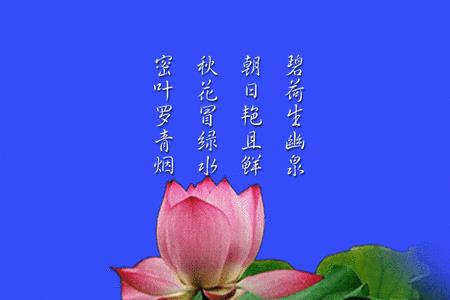 静心惜缘是什么意思