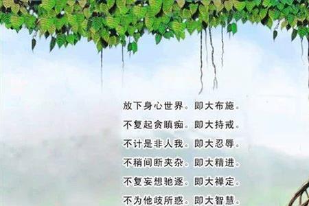 菩提禅心是什么意思