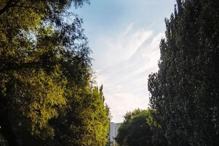 妹妹你大胆地往前走前奏是什么