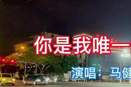 你是我唯一的执着原唱故事