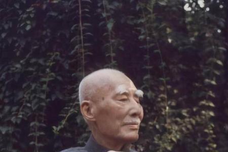 后人对叶圣陶评价