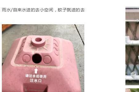 户外水缸如何灭蚊