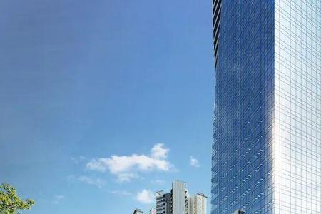 icc项目怎么样