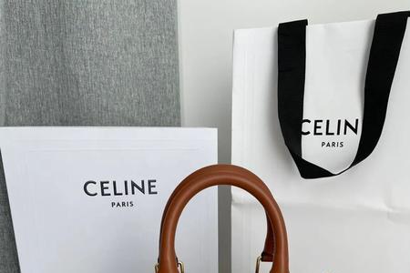 celine枕头包有几个尺寸