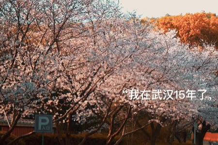 但愿山河无恙生活如常