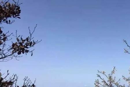 天险洞村旅游攻略