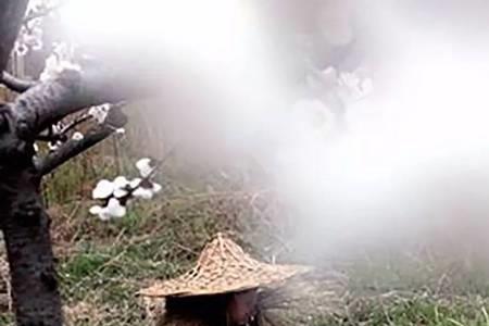 终南山隐士的内心境界
