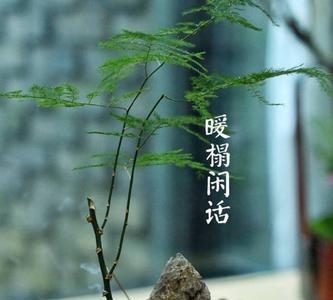 心中无闲事风清月自明意思