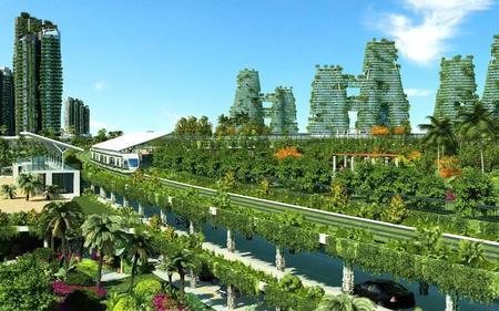 河北省森林城市标准