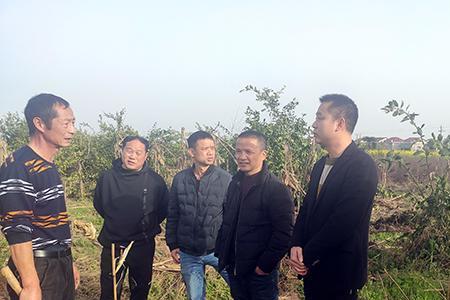 退果还田最新政策