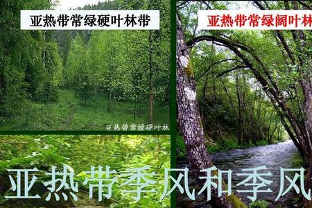 亚热带季风气候对应的自然带