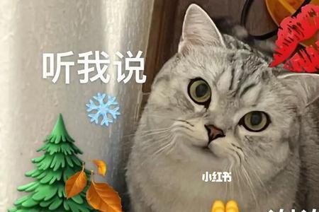 女生说有你温暖了四季怎么回复