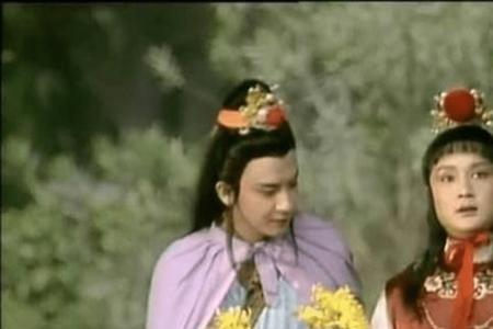 冷子兴和柳湘莲是一个人