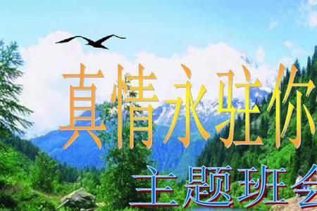 真情又是什么