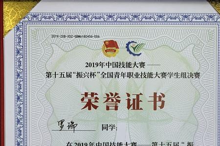 振兴杯是国家几级比赛