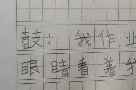 用西面造句