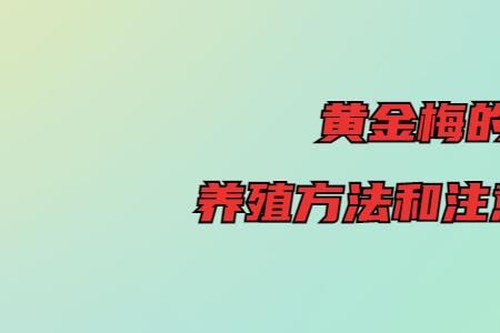 黄金梅土壤配制