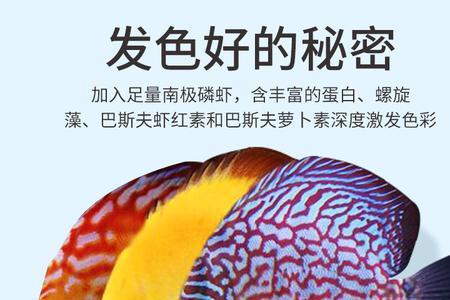 埃及神仙吃什么颗粒饲料好