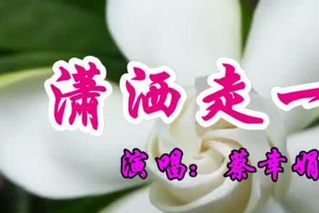 为什么潇洒走一回这么好听
