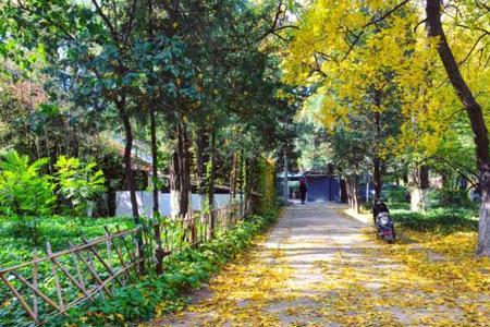 风轻花落定什么意思