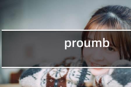 proumb中文官网入口