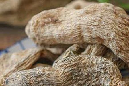 500克天麻能泡多少斤酒