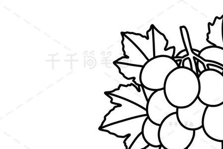 葡萄汁简笔画图片