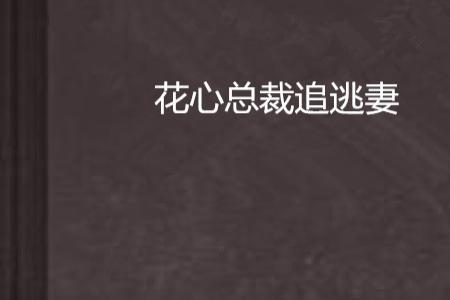 陆如月齐达飞是什么小说