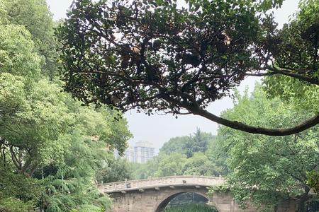 上海长宁区公园一览