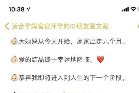 一个身体两个心跳文案