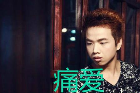 那个曾经被爱伤过的人是什么歌