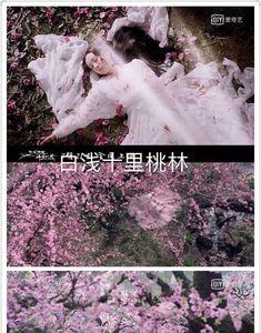 十里桃花万家酒下一句
