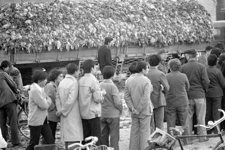 北京市民是指哪些人