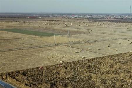 玉米地迷宫需要什么证