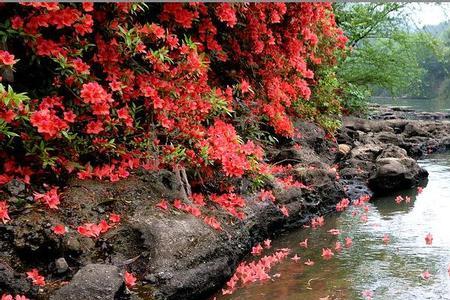 落花无意，流水无情是什么意思啊