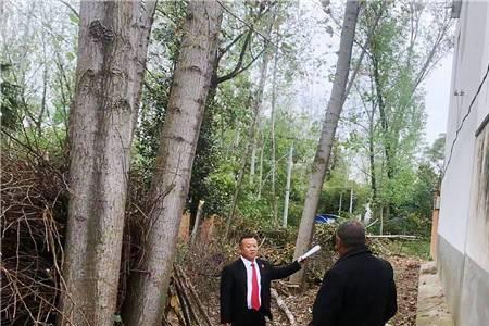 司法调查会找邻居问吗