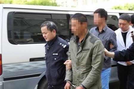 特别重大刑事犯罪分子标准