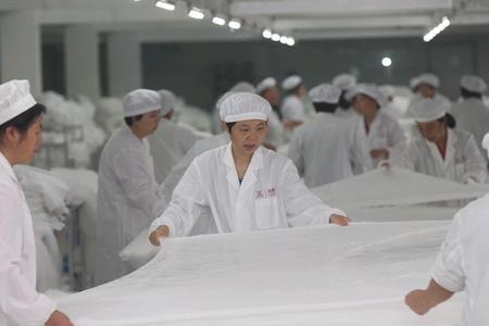 绿蚕和文良大结局