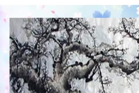 哪首诗与白梅表达方法相同