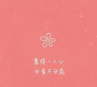 白首不分离出自哪首诗